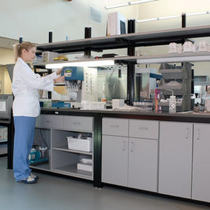 Lab Sample Processing