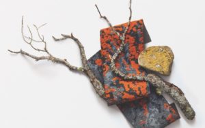 lichen-courtesy-mohawk-group