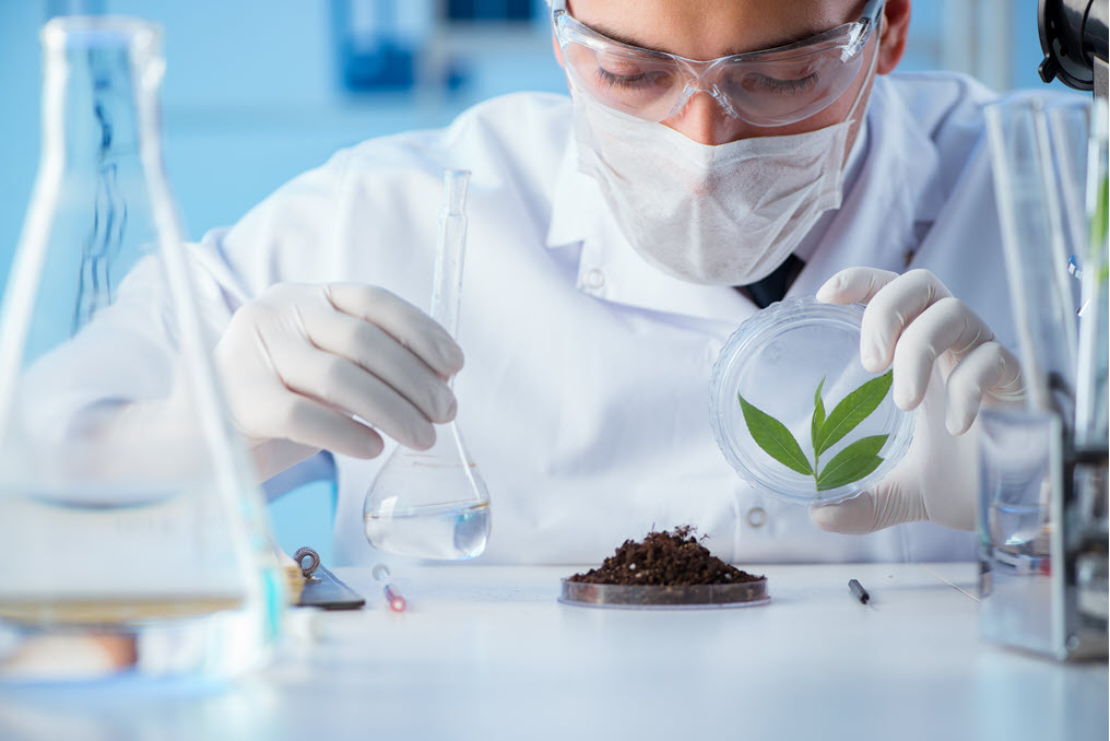 soil testing labs