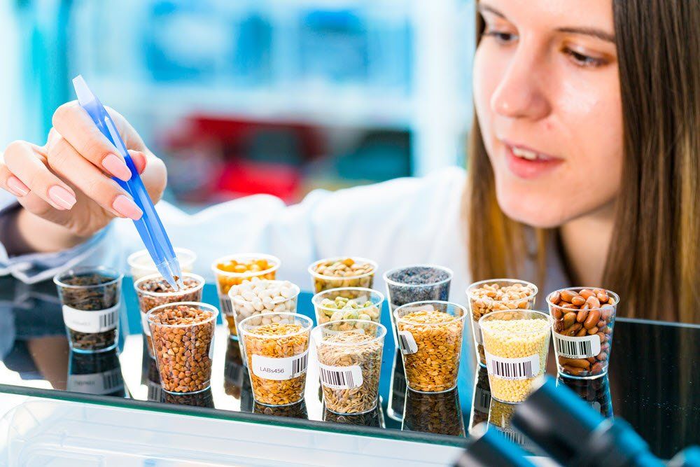 food testing lab