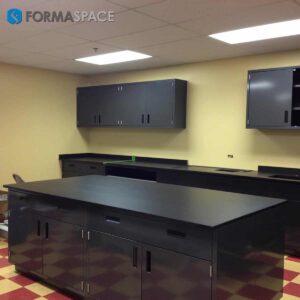 Chemical Resistant Steel Casework with Upper & Lower Storage Chemical Resistant Steel Casework with Upper & Lower Storage