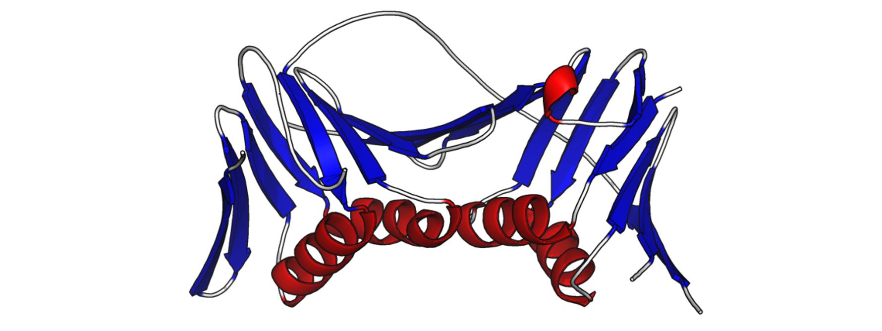 3D tetriary protein structure