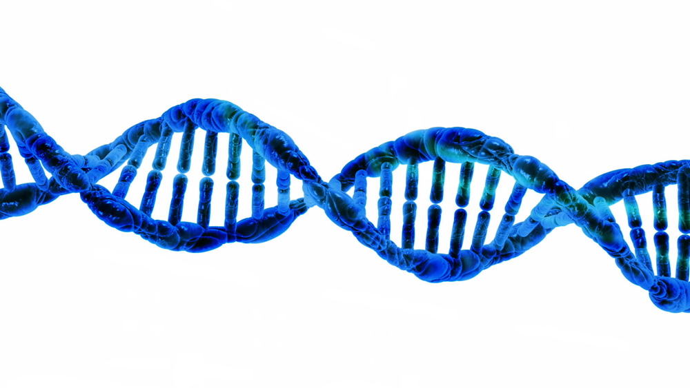 Human Genome DNA