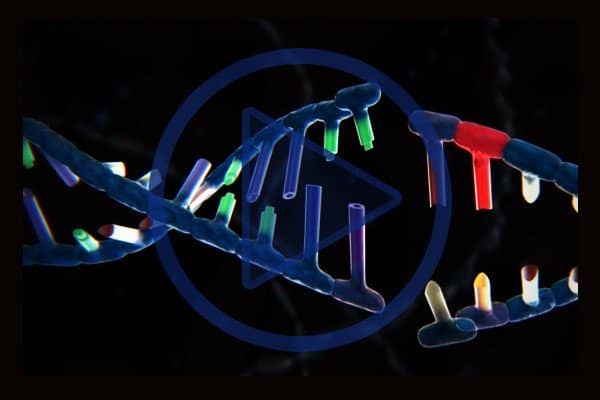 You can get an overview of CRISPR-Cas9 genome editing technology In this beautifully animated video. You can get an overview of CRISPR-Cas9 genome editing technology In this beautifully animated video.
